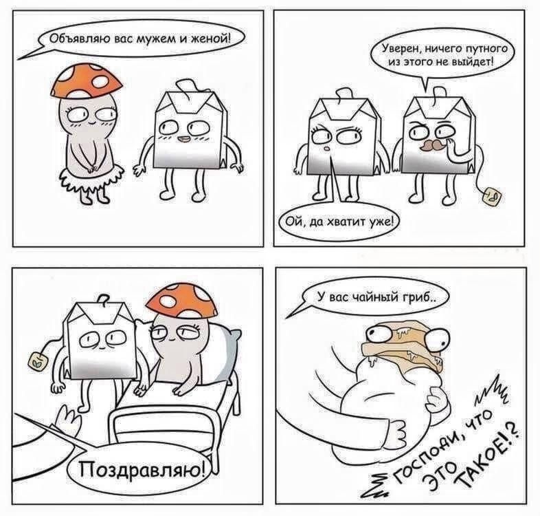 Объявляю вас мужем и женой! Уверен, ничего путного из этого не выйдет! Ой, да хватит уже! Поздравляю! У вас чайный гриб.. Господи, что ЭТО ТАКОЕ!?