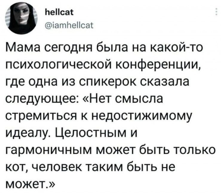 hellcat @iamhellcat Мама сегодня была на какой-то психологической конференции, где одна из спикерок сказала следующее: «Нет смысла стремиться к недостижимому идеалу. Целостным и гармоничным может быть только кот, человек таким быть не может.»