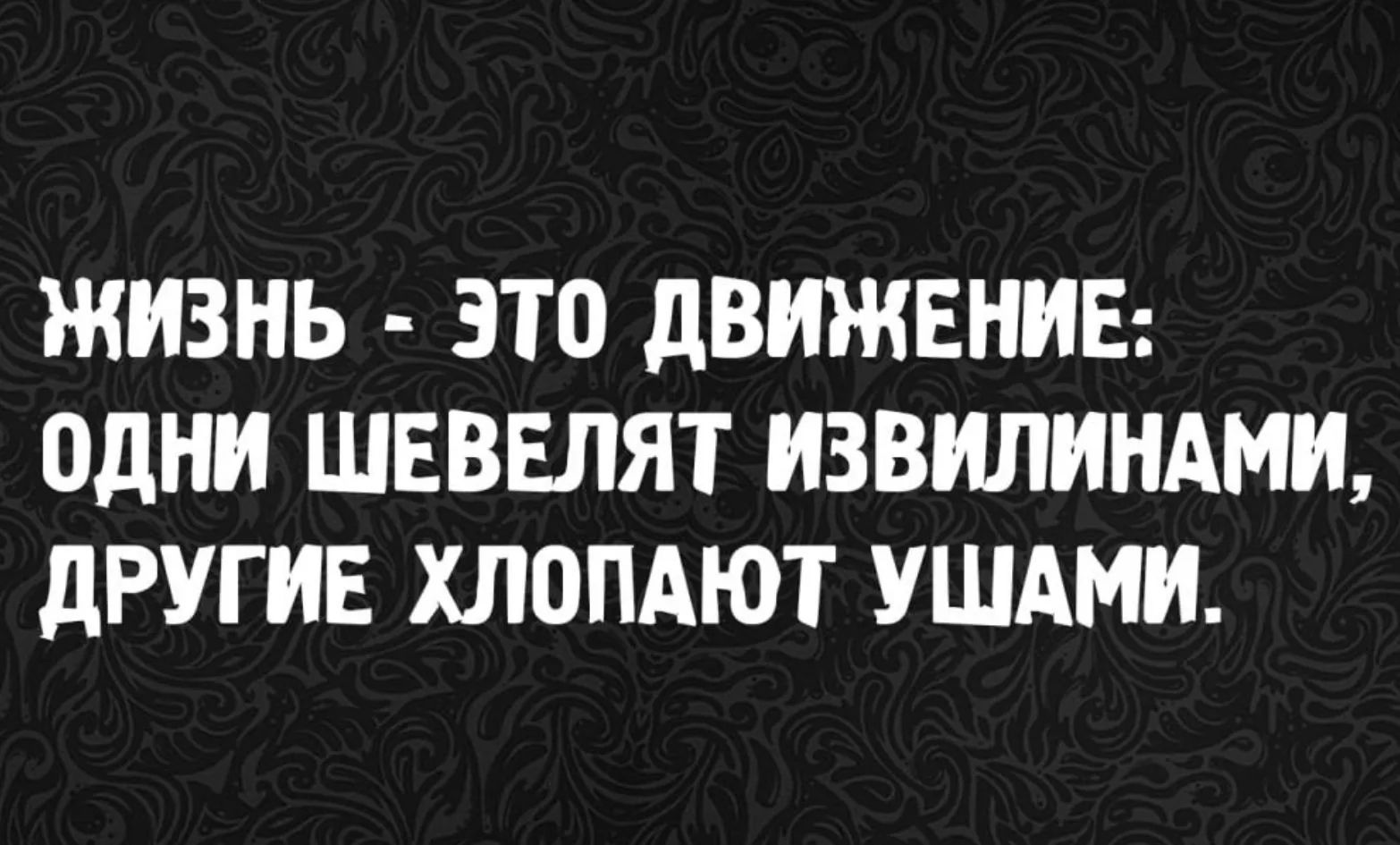 ЖИЗНЬ - ЭТО ДВИЖЕНИЕ: ОДНИ ШЕВЕЛЯТ ИЗВИЛИНАМИ, ДРУГИЕ ХЛОПАЮТ УШАМИ.