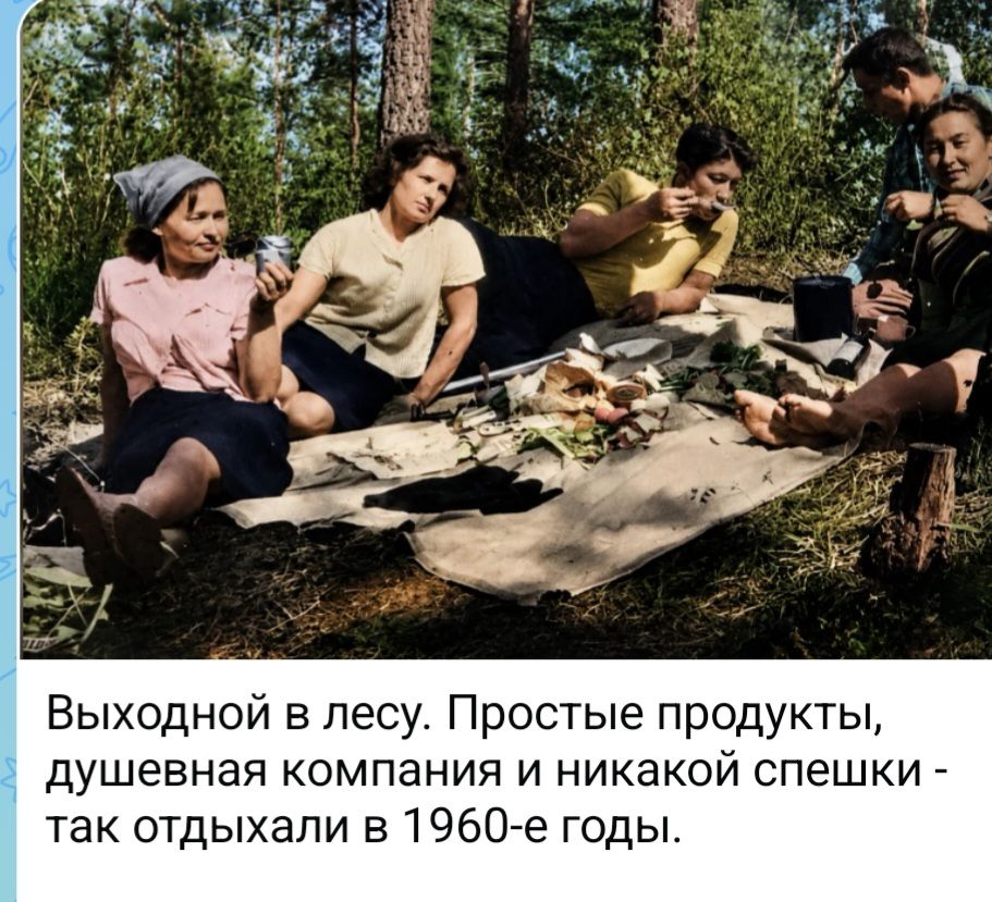 Выходной в лесу. Простые продукты, душевная компания и никакой спешки - так отдыхали в 1960-е годы.