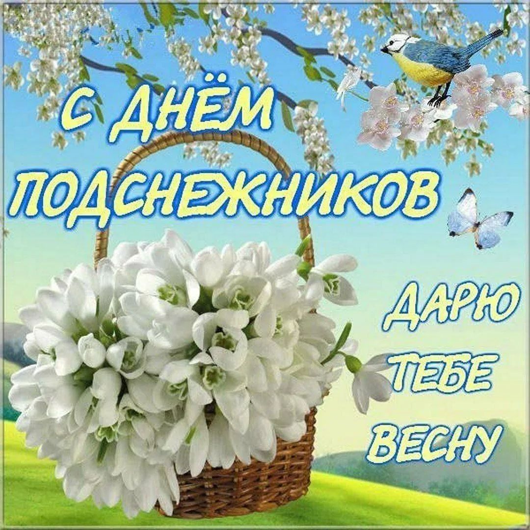 С ДНЁМ ПОДСНЕЖНИКОВ ДАРЮ ТЕБЕ ВЕСНУ