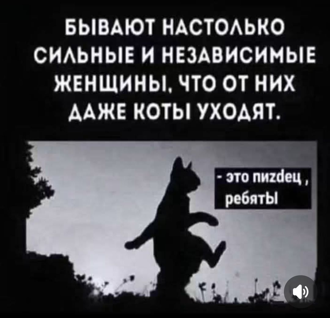 Бывают настолько сильные и независимые женщины, что от них даже коты уходят. - это пиздец, ребята