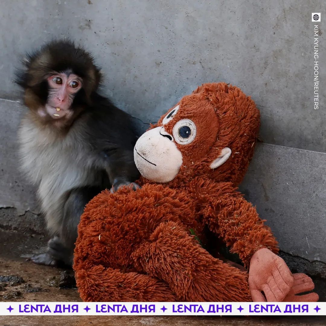 KIM KYUNG-HOON/REUTERS LENTA ДНЯ