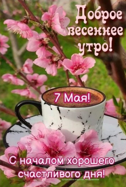 Доброе весеннее утро! 7 Мая! С началом хорошего счастливого дня! гр. Красивые открытки, поздравления