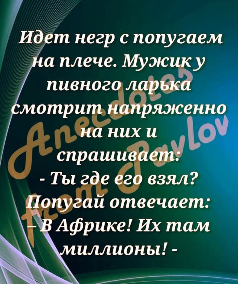 Идет негр с попугаем на плече. Мужик у пивного ларька смотрит напряженно на них и спрашивает: - Ты где его взял? Попугай отвечает: - В Африке! Их там миллионы!