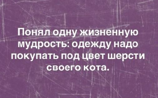 Понял одну жизненную мудрость: одежду надо покупать под цвет шерсти своего кота.