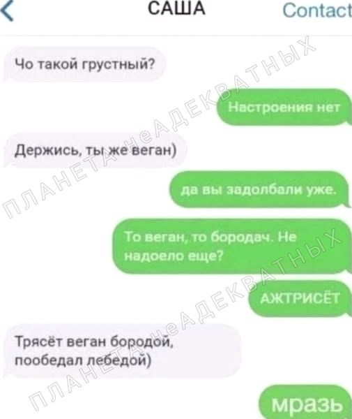 САША Contact Чо такой грустный? Настроения нет Держись, ты же веган) да вы задолбали уже. То веган, то бородач. Не надоело еще? АЖТРИСЁТ Трясёт веган бородой, пообедал лебедой) мразь