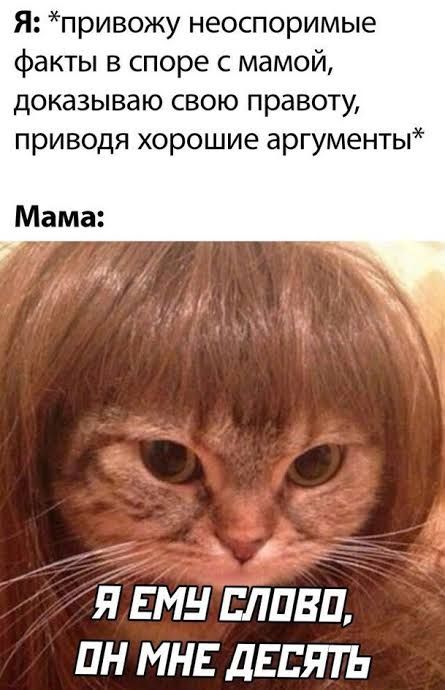 Я: *привожу неоспоримые факты в споре с мамой, доказываю свою правоту, приводя хорошие аргументы* Мама: Я ЕМУ СЛОВО, ОН МНЕ ДЕСЯТЬ