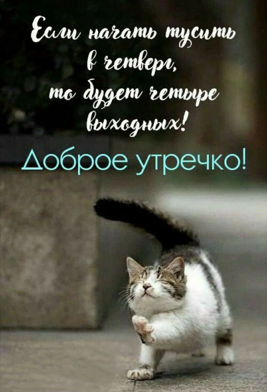 Если начать тусить в четверг, то будет четыре выходных! Доброе утречко!