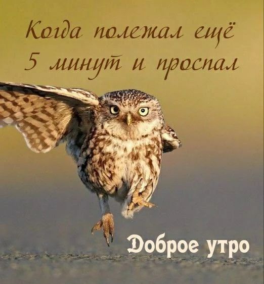 Когда полежал ещё 5 минут и проспал. Доброе утро