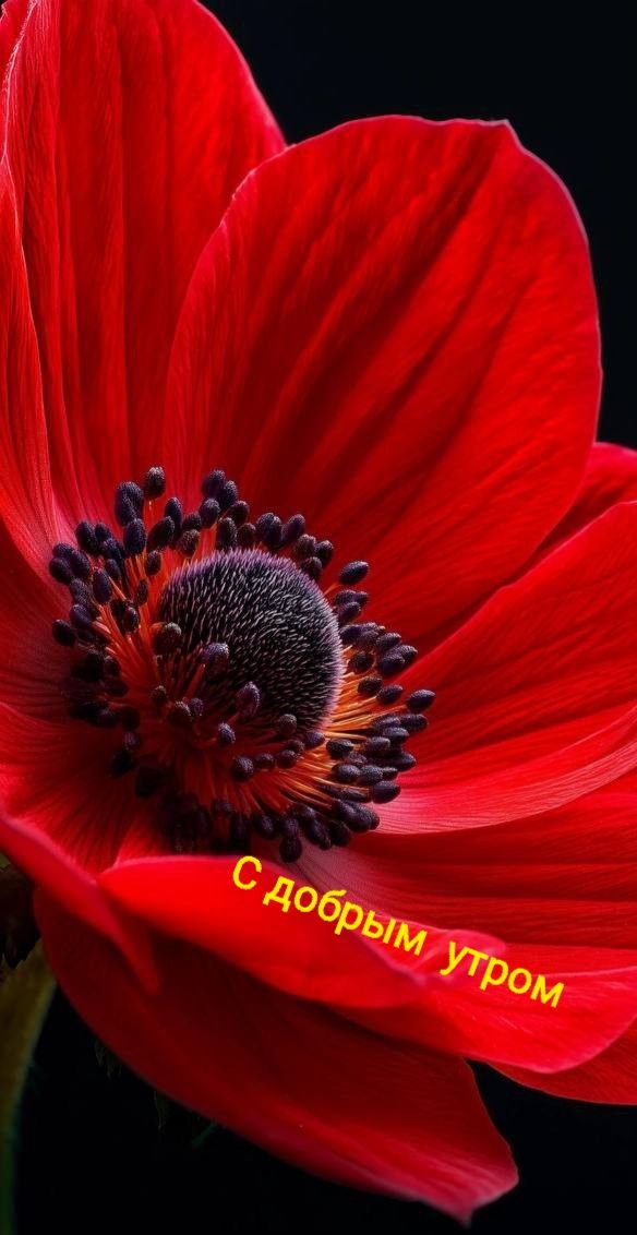 С добрым утром