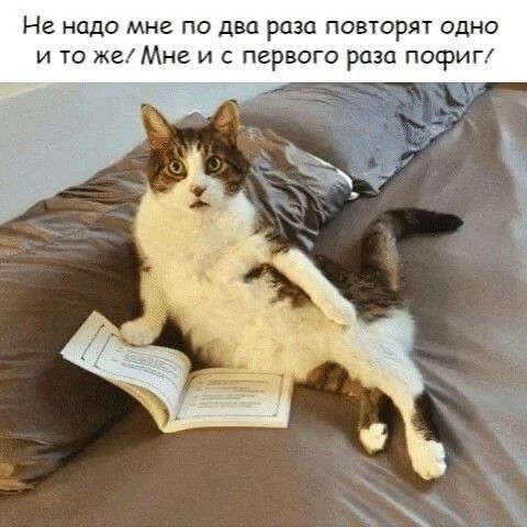 Не надо мне по два раза повторять одно и то же! Мне и с первого раза пофиг!