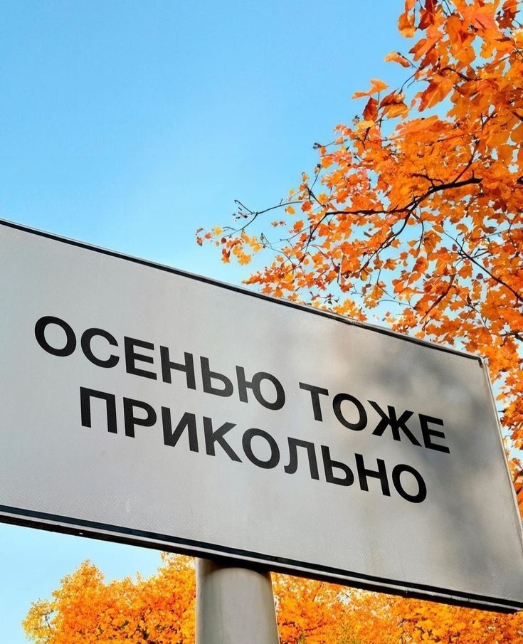 ОСЕНЬЮ ТОЖЕ ПРИКОЛЬНО