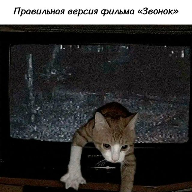 Правильная версия фильма «Звонок»