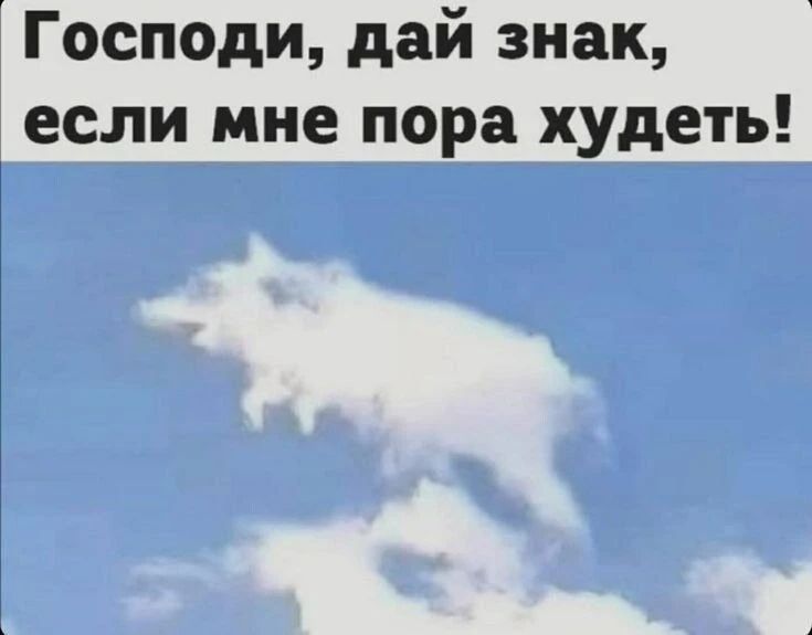 Господи, дай знак, если мне пора худеть!