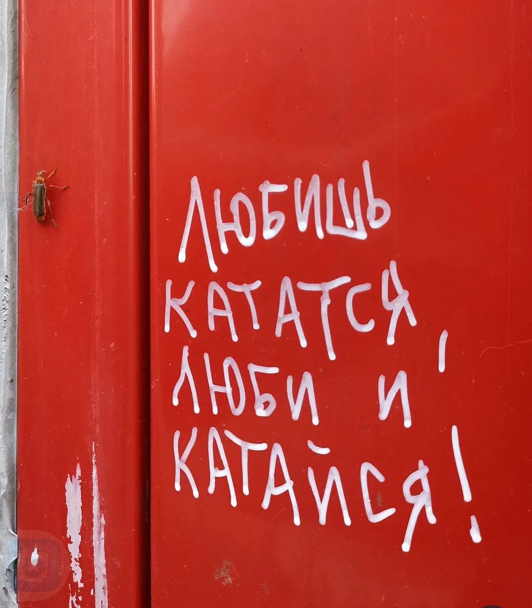 ЛЮБИШЬ КАТАТЬСЯ, ЛЮБИ И КАТАЙСЯ!