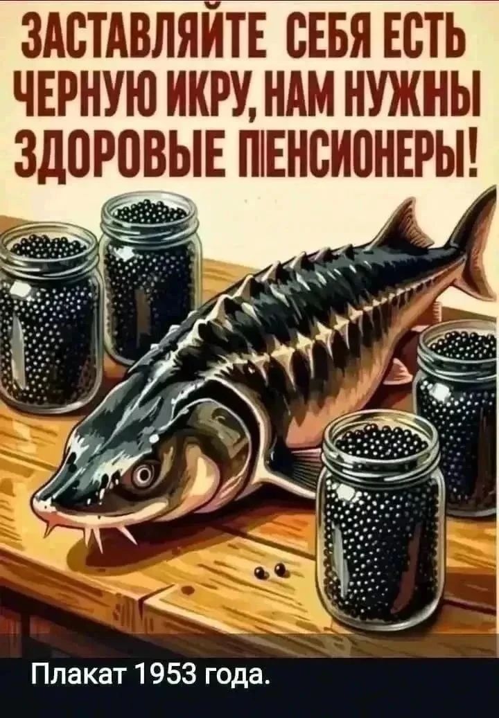 ЗАСТАВЛЯЙТЕ СЕБЯ ЕСТЬ ЧЕРНУЮ ИКРУ, НАМ НУЖНЫ ЗДОРОВЫЕ ПЕНСИОНЕРЫ! Плакат 1953 года.