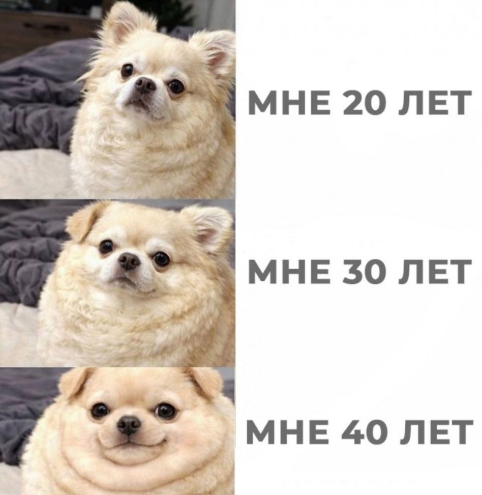 МНЕ 20 ЛЕТ МНЕ 30 ЛЕТ МНЕ 40 ЛЕТ