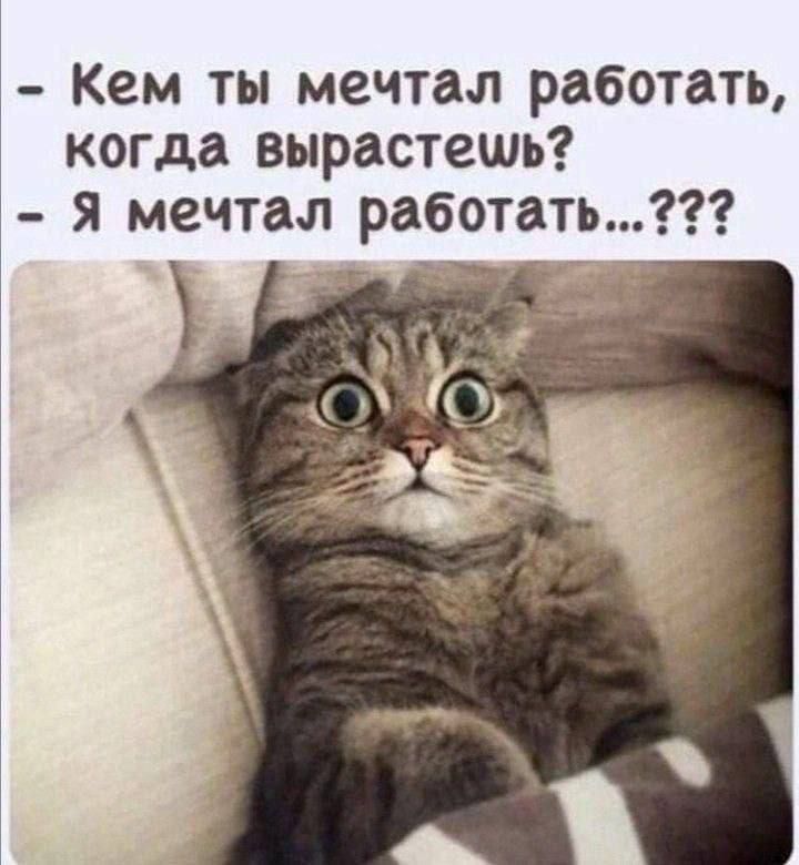 - Кем ты мечтал работать, когда вырастешь? - Я мечтал работать...???