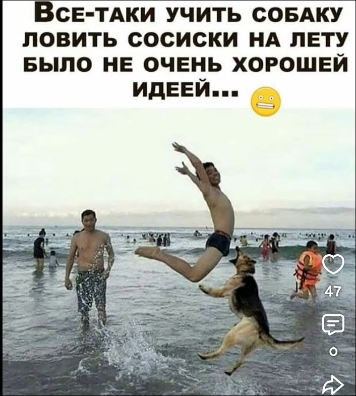 ВСЕ-ТАКИ УЧИТЬ СОБАКУ ЛОВИТЬ СОСИСКИ НА ЛЕТУ БЫЛО НЕ ОЧЕНЬ ХОРОШЕЙ ИДЕЕЙ... На пляже мужчина прыгает в воде, а рядом с ним подпрыгивает собака, создавая комичную сцену.