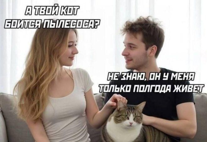 А ТВОЙ КОТ БОИТСЯ ПЫЛЕСОСА? НЕ ЗНАЮ, ОН У МЕНЯ ТОЛЬКО ПОЛГОДА ЖИВЕТ