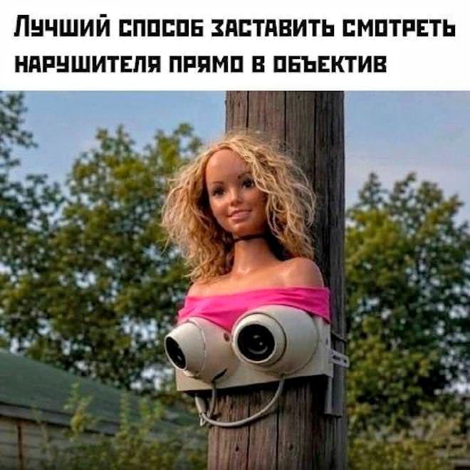 ЛУЧШИЙ СПОСОБ ЗАСТАВИТЬ СМОТРЕТЬ НАРУШИТЕЛЯ ПРЯМО В ОБЪЕКТИВ