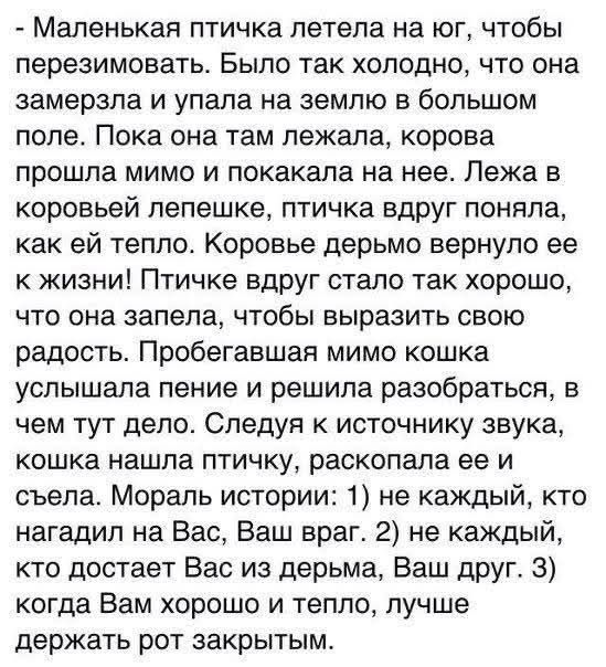 - Маленькая птичка летела на юг, чтобы перезимовать. Было так холодно, что она замерзла и упала на землю в большом поле. Пока она там лежала, корова прошла мимо и покакала на нее. Лежа в коровьей лепешке, птичка вдруг поняла, как ей тепло. Коровье дерьмо вернуло ее к жизни! Птичке вдруг стало так хорошо, что она запела, чтобы выразить свою