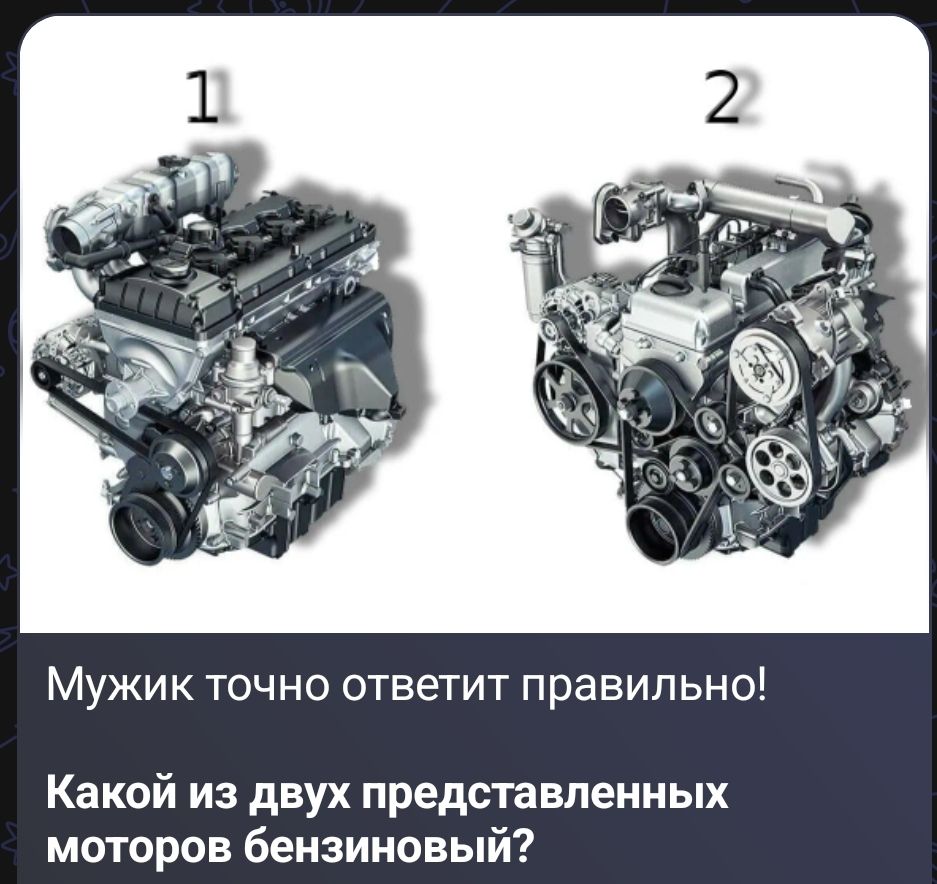 1 2 Мужик точно ответит правильно! Какой из двух представленных моторов бензиновый?