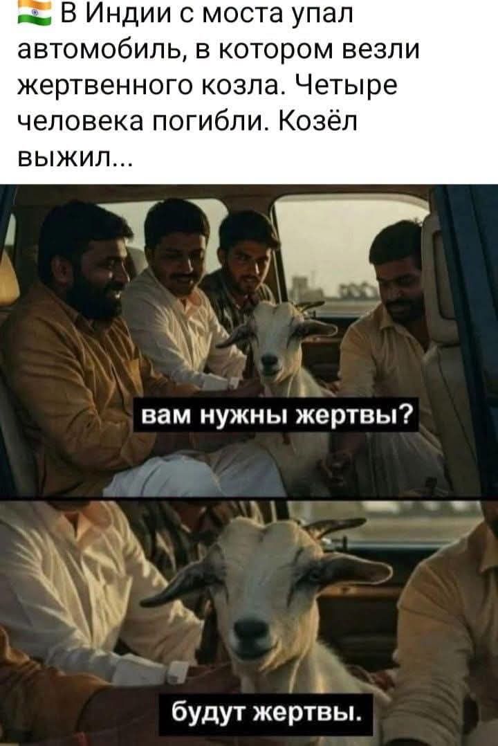 В Индии с моста упал автомобиль, в котором везли жертвенного козла. Четыре человека погибли. Козёл выжил... вам нужны жертвы? будут жертвы.