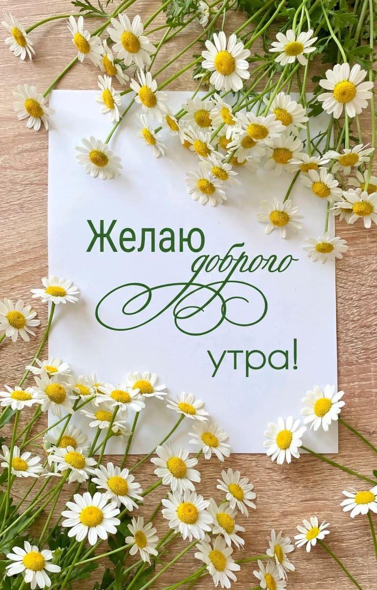 Желаю доброго утра!
