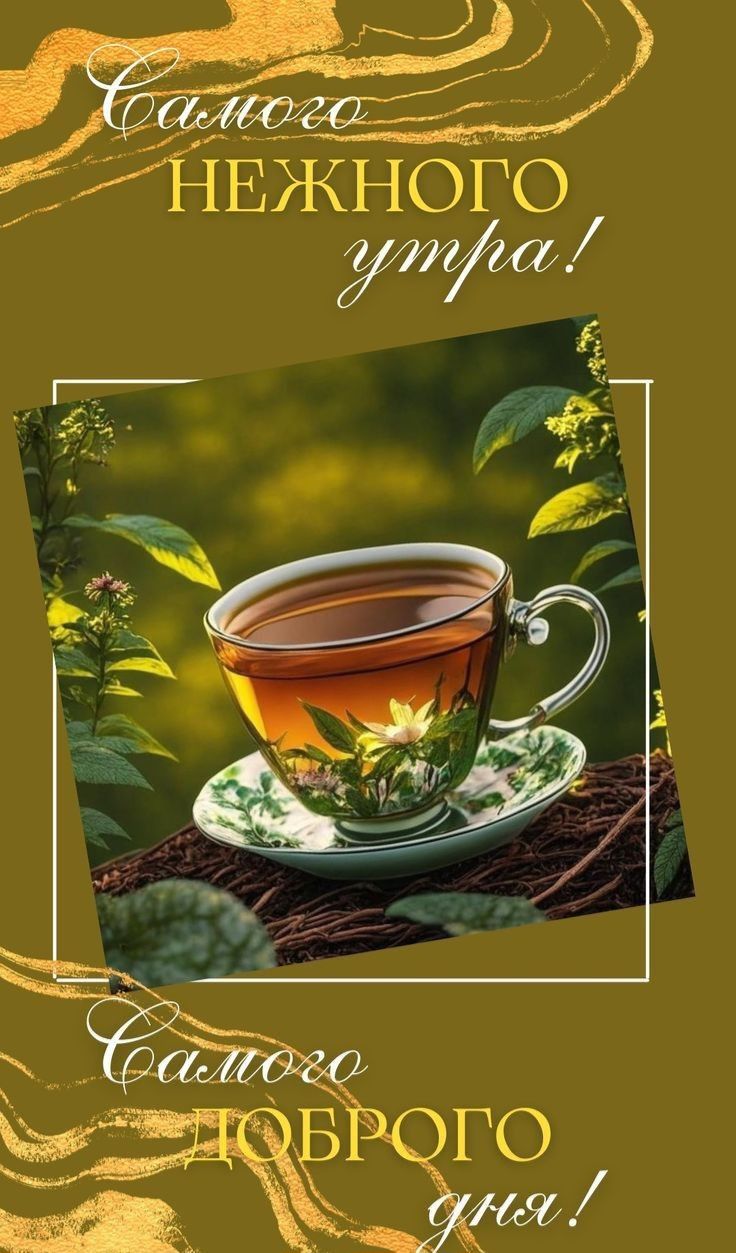 Самого нежного утра! Самого доброго дня!