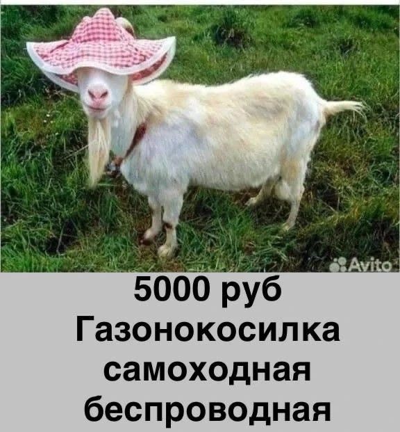 5000 руб Газонокосилка самоходная беспроводная Avito
