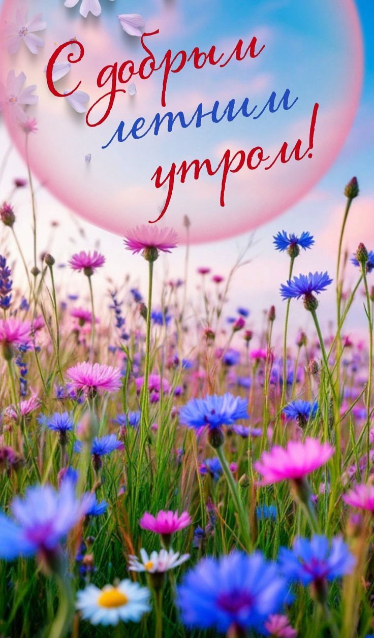 С добрым летним утром!
