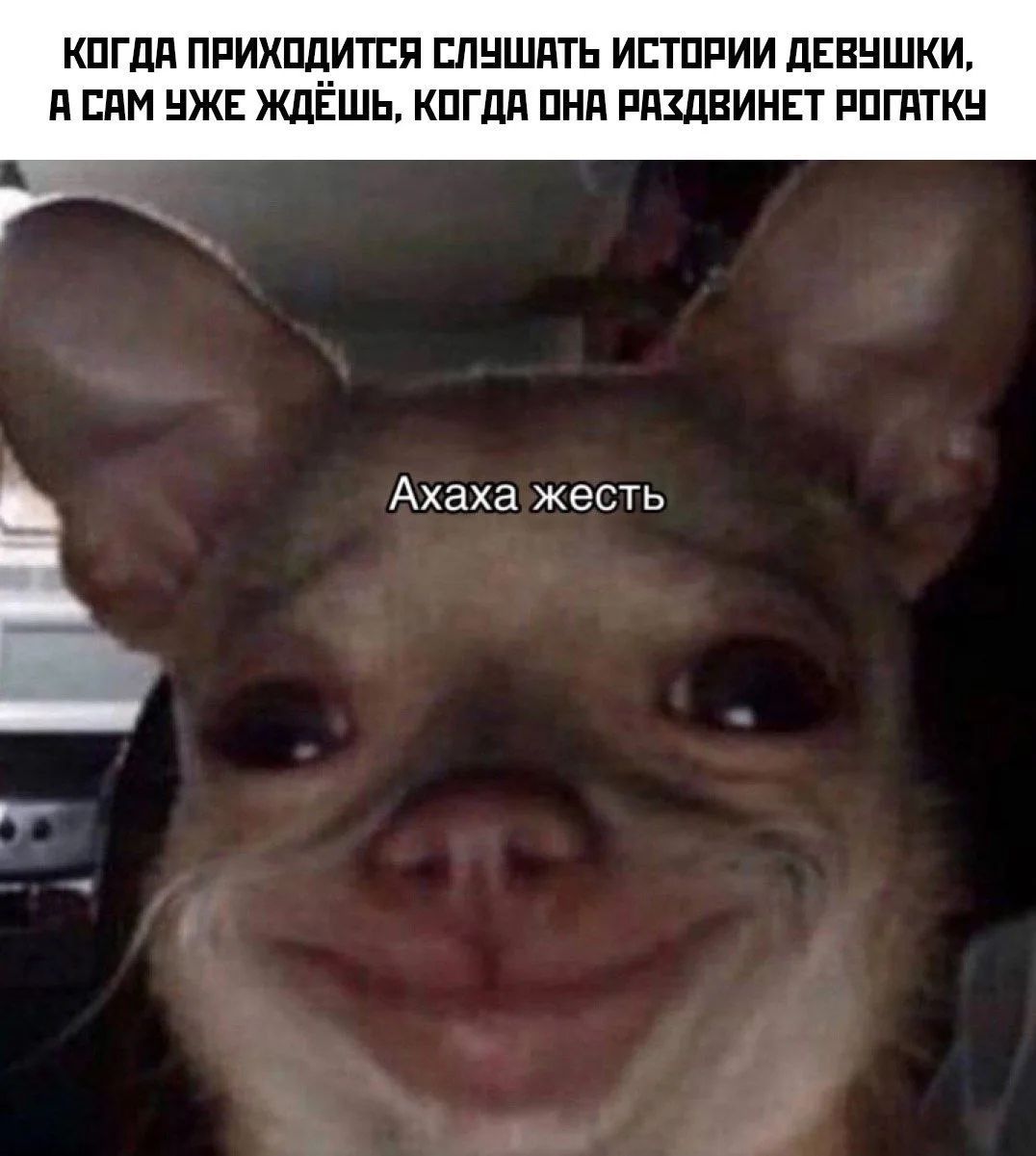 КОГДА ПРИХОДИТСЯ СЛУШАТЬ ИСТОРИИ ДЕВУШКИ, А САМ УЖЕ ЖДЁШЬ, КОГДА ОНА РАЗДВИНЕТ РОГАТКУ Ахаха жесть