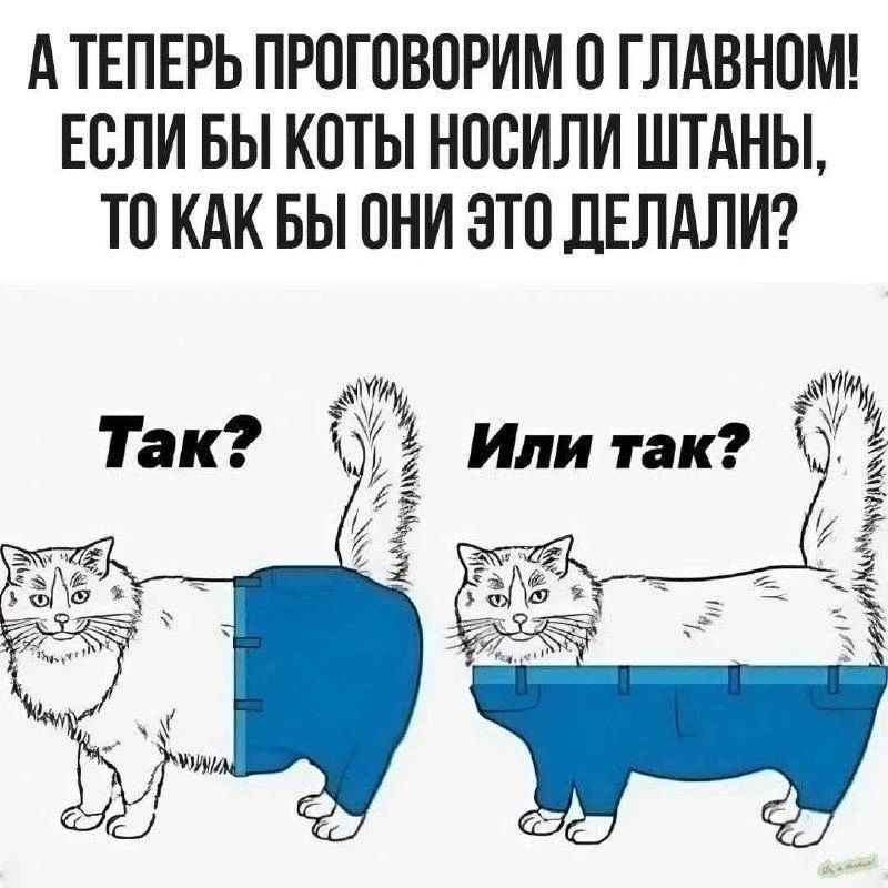 А ТЕПЕРЬ ПРОГОВОРИМ О ГЛАВНОМ! ЕСЛИ БЫ КОТЫ НОСИЛИ ШТАНЫ, ТО КАК БЫ ОНИ ЭТО ДЕЛАЛИ? Так? Или так?