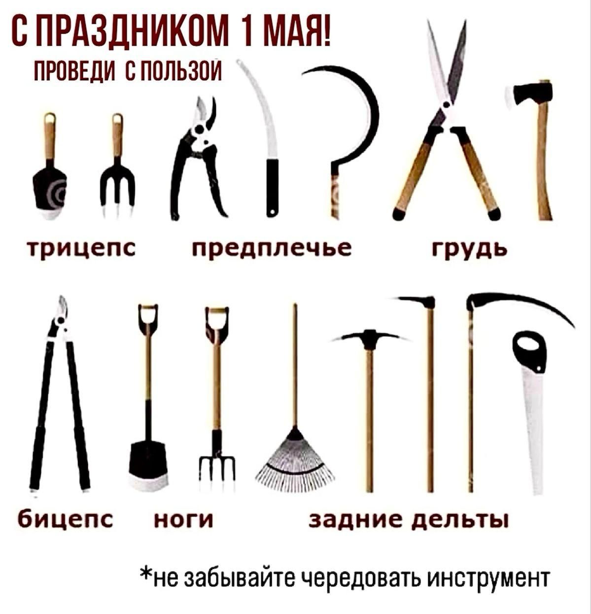 С ПРАЗДНИКОМ 1 МАЯ! ПРОВЕДИ С ПОЛЬЗОЙ трицепс предплечье грудь бицепс ноги задние дельты *не забывайте чередовать инструмент