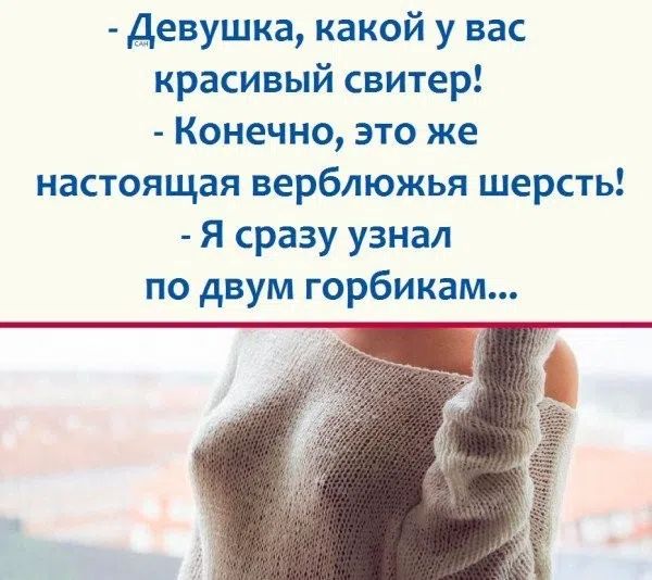 - Девушка, какой у вас красивый свитер!
- Конечно, это же настоящая верблюжья шерсть!
- Я сразу узнал по двум горбикам...