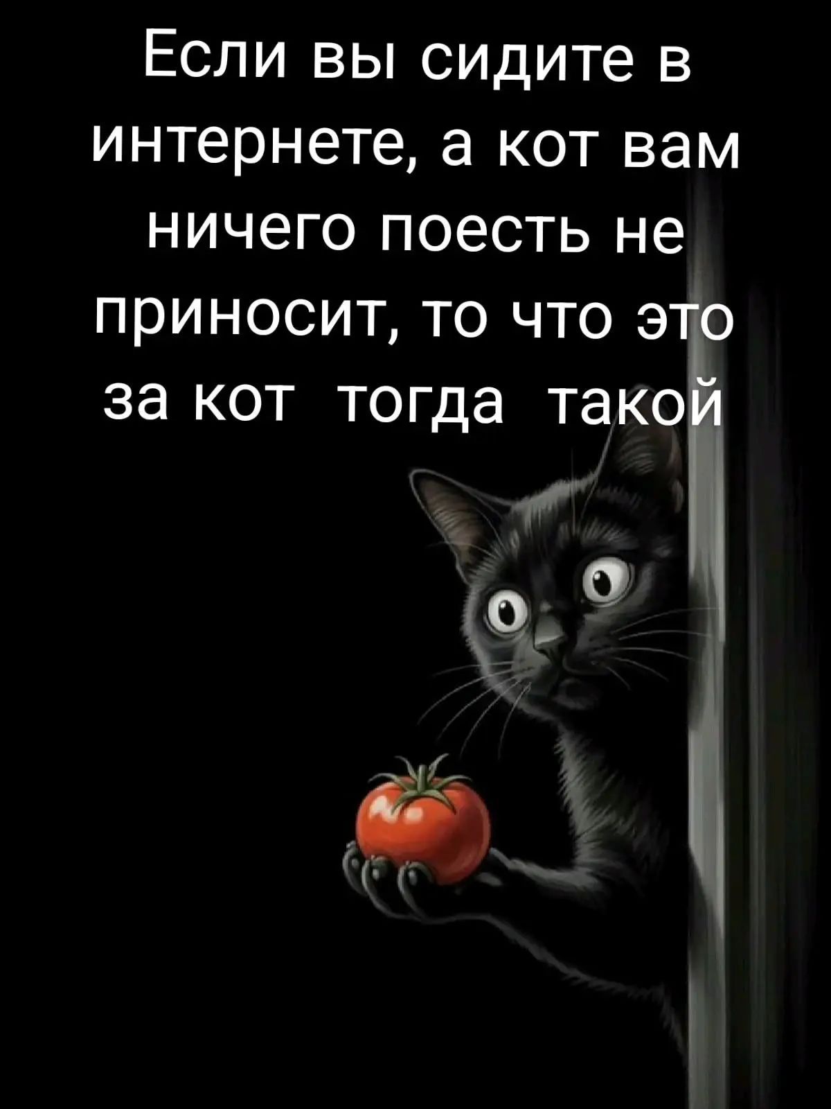 Если вы сидите в интернете, а кот вам ничего поесть не приносит, то что это за кот тогда такой