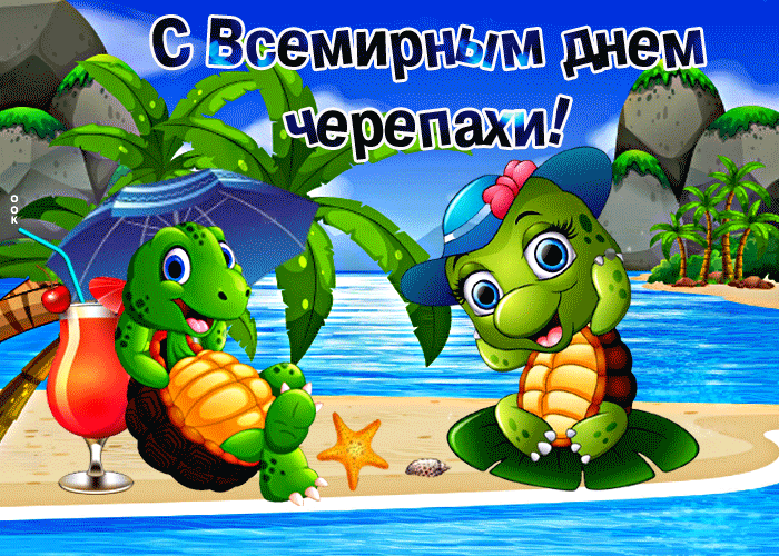 С Всемирным днем черепахи!