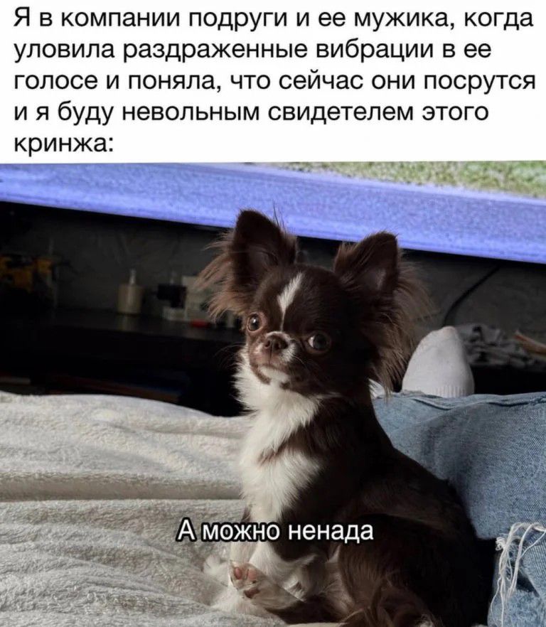 Я в компании подруги и ее мужика, когда уловила раздраженные вибрации в ее голосе и поняла, что сейчас они посрутся и я буду невольным свидетелем этого кринжа: А можно ненада
