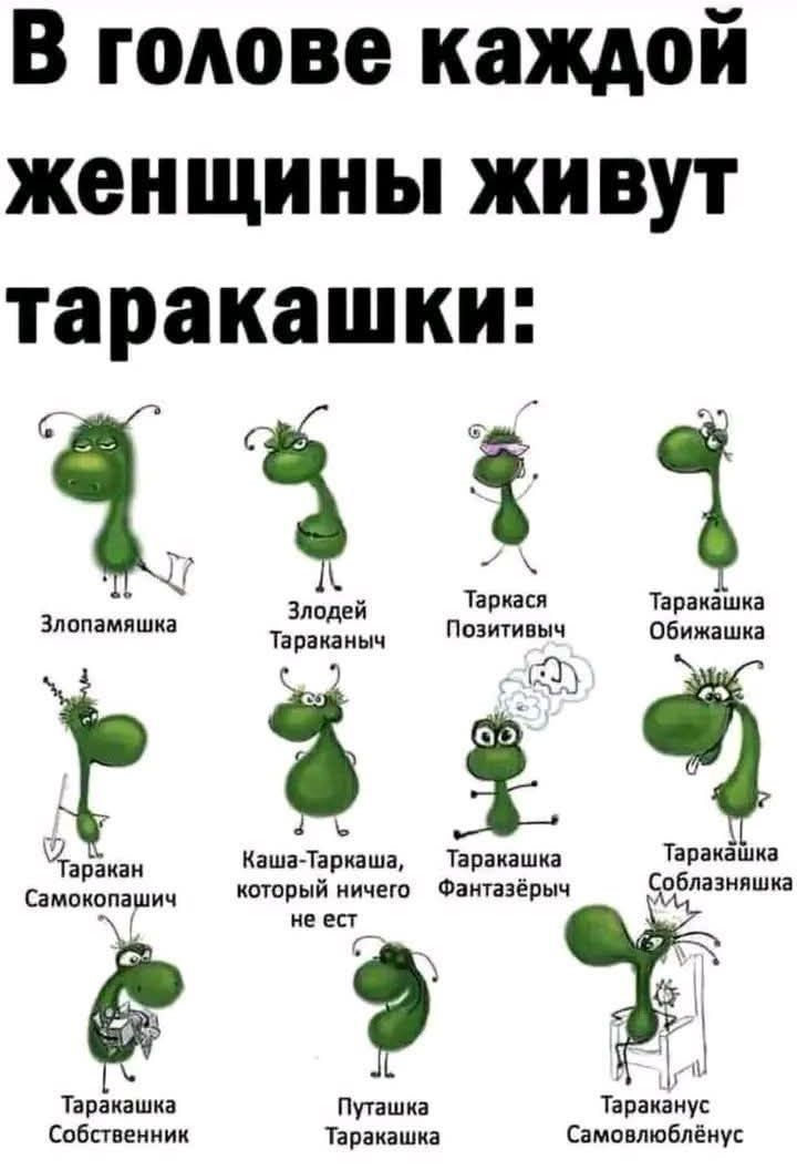 В голове каждой женщины живут таракашки: Злопамяшка, Злодей Тараканыч, Таркася Позитивыч, Таракашка Обижашка, Таракан Самокопашич, Каша-Таркаша, который ничего не ест, Таракашка Фантазёрыч, Таракашка Соблазняшка, Таракашка Собственник, Путашка Таракашка, Тараканус Самовлюблёнус.