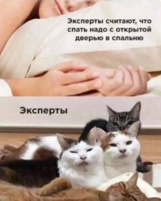 Эксперты считают, что спать надо с открытой дверью в спальню. Эксперты