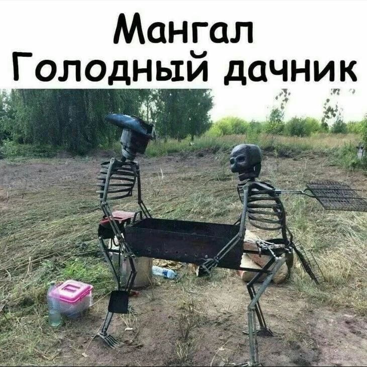Мангал Голодный дачник