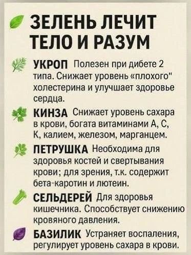 ЗЕЛЕНЬ ЛЕЧИТ ТЕЛО И РАЗУМ УКРОП Полезен при диабете 2 типа. Снижает уровень 