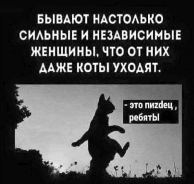 БЫВАЮТ НАСТОЛЬКО СИЛЬНЫЕ И НЕЗАВИСИМЫЕ ЖЕНЩИНЫ, ЧТО ОТ НИХ ДАЖЕ КОТЫ УХОДЯТ. - это пиздец, ребята
