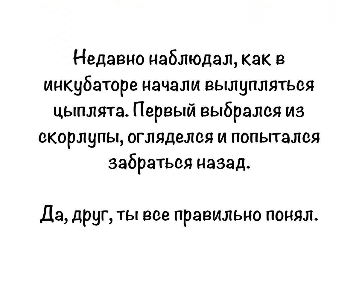 Недавно наблюдал, как в инкубаторе начали вылупляться цыплята. Первый выбрался из скорлупы, огляделся и попытался забраться назад. Да, друг, ты все правильно понял.