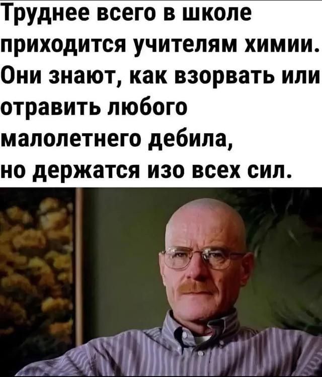 Труднее всего в школе приходится учителям химии. Они знают, как взорвать или отравить любого малолетнего дебила, но держатся изо всех сил.