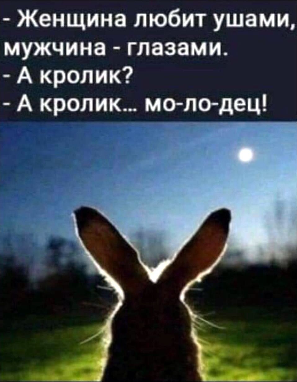 Женщина любит ушами, мужчина - глазами. - А кролик? - А кролик... мо-ло-дец!
