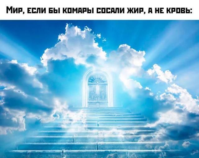 МИР, ЕСЛИ БЫ КОМАРЫ СОСАЛИ ЖИР, А НЕ КРОВЬ: