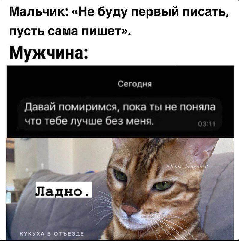 Мальчик: «Не буду первый писать, пусть сама пишет». Мужчина: Сегодня Давай помиримся, пока ты не поняла что тебе лучше без меня. 03:11 Ладно. КУКУХА В ОТЪЕЗДЕ